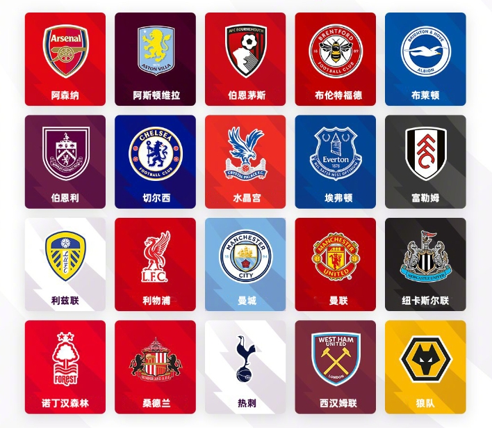 身体状态评 身体状态评